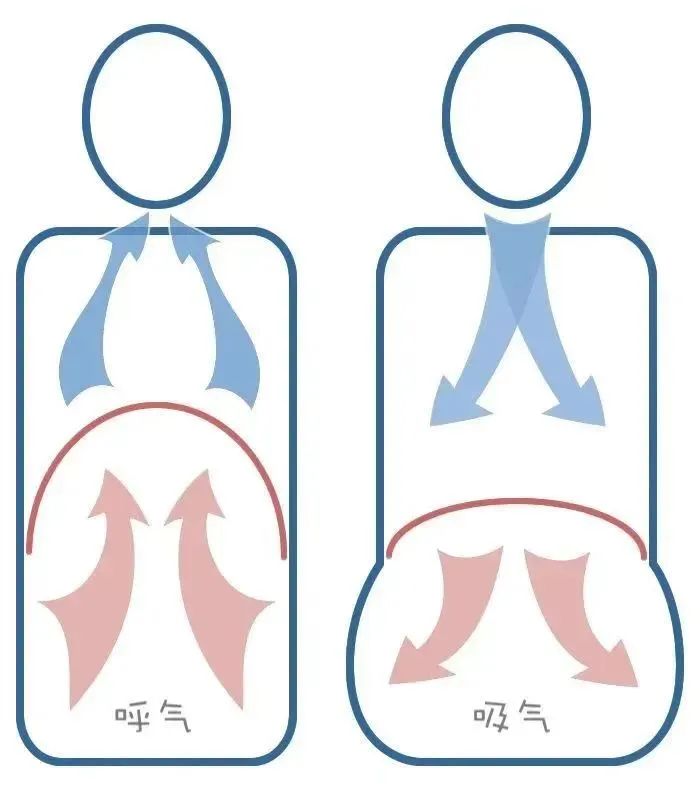 盆底訓練儀3.jpg